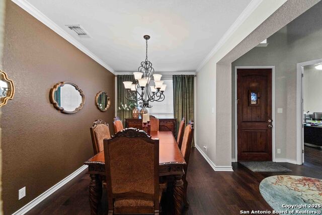 Image 2 of 24 For 30605 Holstein