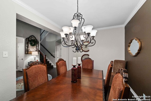 Image 3 of 24 For 30605 Holstein