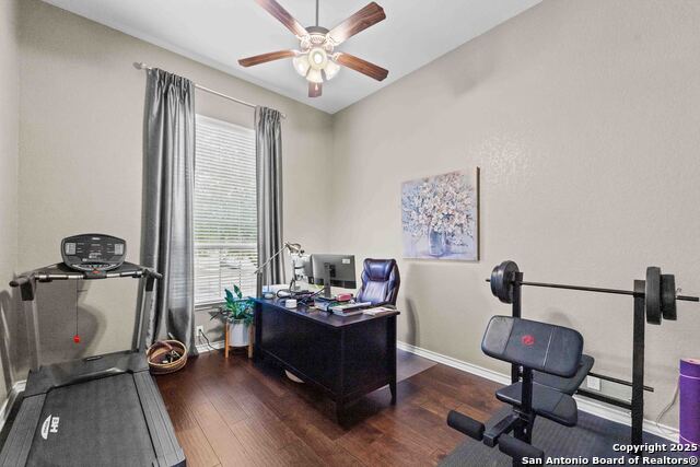 Image 4 of 24 For 30605 Holstein