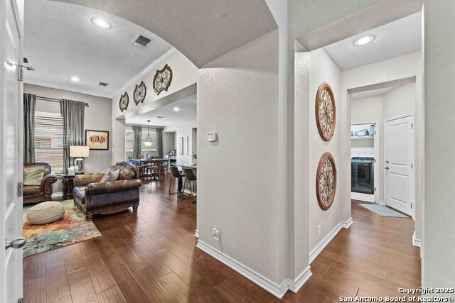 Image 5 of 24 For 30605 Holstein