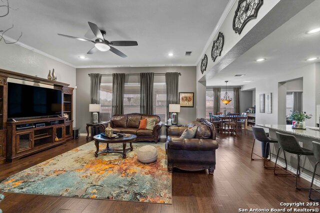 Image 6 of 24 For 30605 Holstein