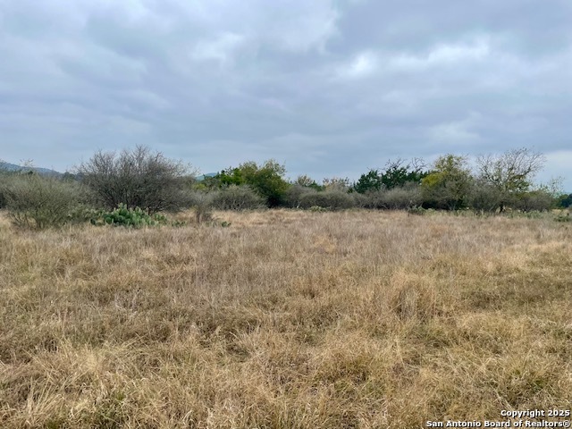 Image 6 of 15 For Lot 23 Brown Saddle