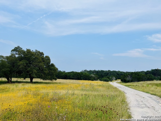 Image 11 of 25 For 1822 Shepherds Ranch