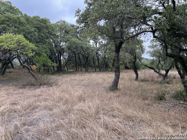 Image 21 of 25 For 6159 Fm 311  