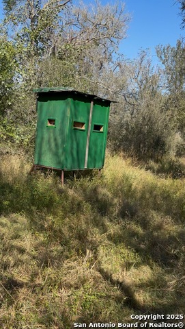 Details for 0 Iuka  , Charlotte, TX 78065