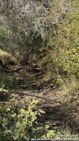 Listing photo id 1 for 0 Iuka  