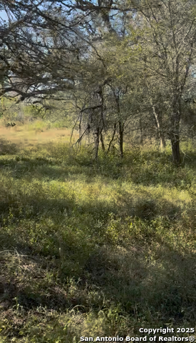 Listing photo id 3 for 0 Iuka  