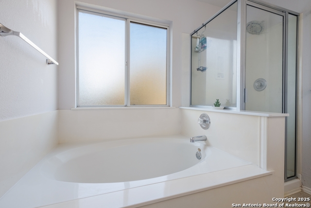 Image 16 of 24 For 20823 Phlox