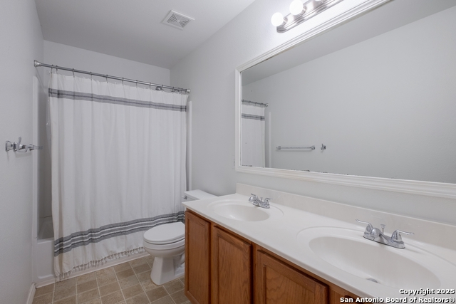 Image 19 of 24 For 20823 Phlox