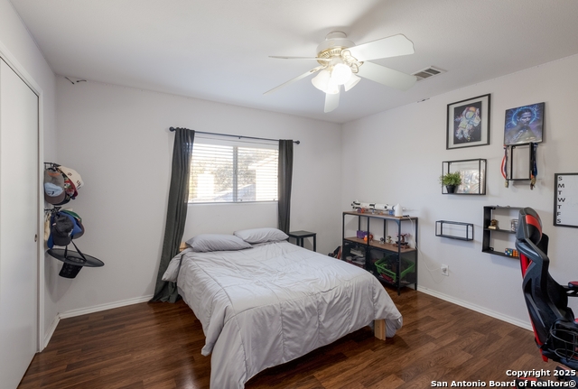 Image 20 of 24 For 20823 Phlox