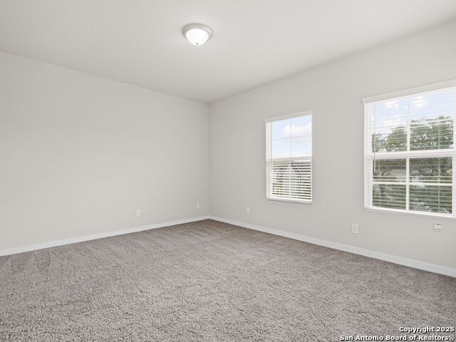 Image 24 of 30 For 21543 Sir Walter