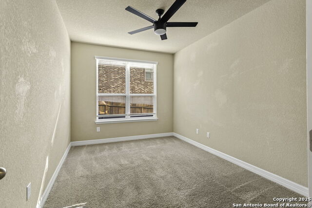 Image 16 of 34 For 28915 Gooseberry