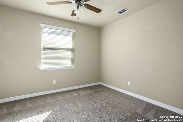 Image 24 of 34 For 28915 Gooseberry