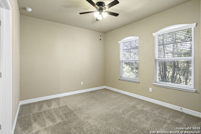 Image 27 of 34 For 28915 Gooseberry