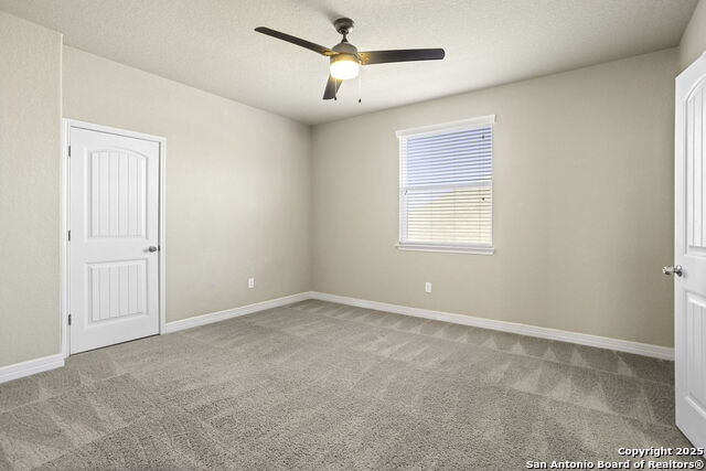 Image 29 of 34 For 28915 Gooseberry