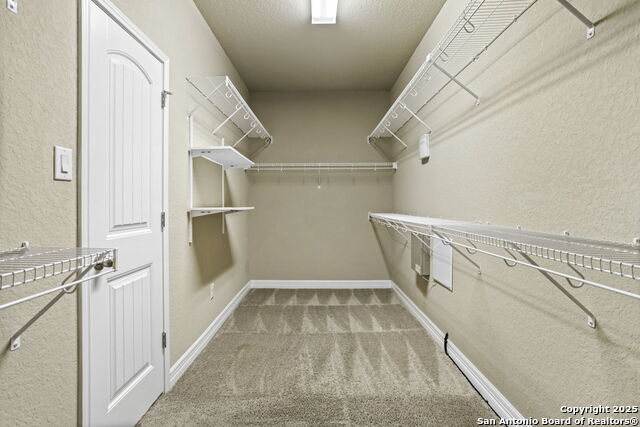 Image 31 of 34 For 28915 Gooseberry