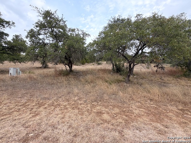 Listing photo id 8 for 1232 Kings Cove Dr