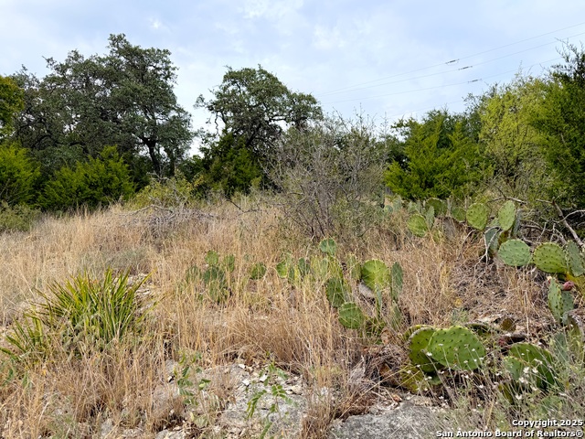 Listing photo id 14 for 1232 Kings Cove Dr