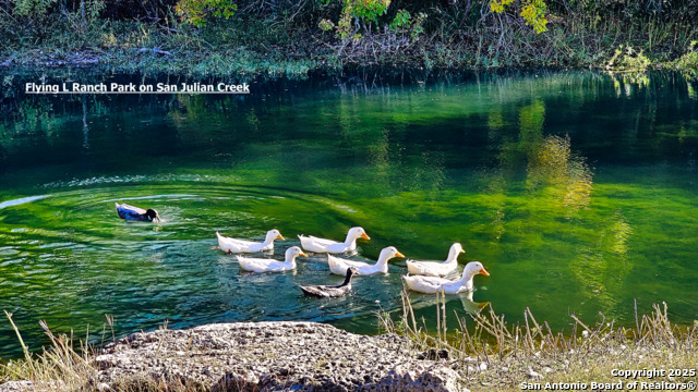 Listing photo id 13 for Lot 55 Brown Saddle