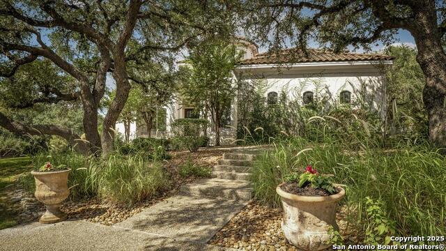 Image 64 of 65 For 7 Park Mountain E