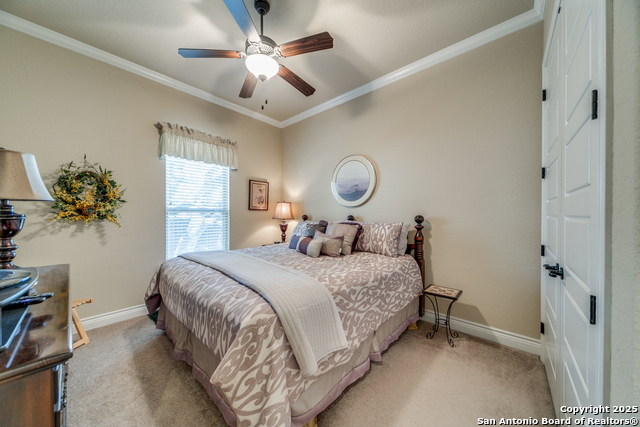 Image 16 of 24 For 165 Watts  