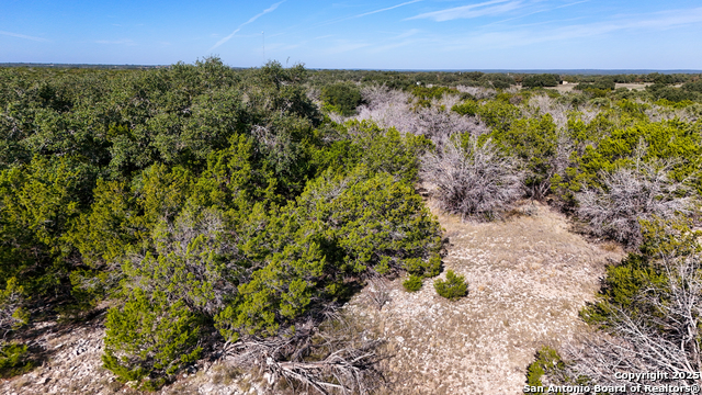 Image 32 of 34 For 1031 Shin Oak