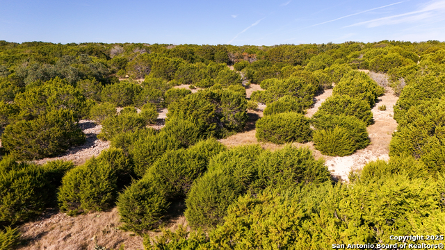 Image 5 of 34 For 1031 Shin Oak
