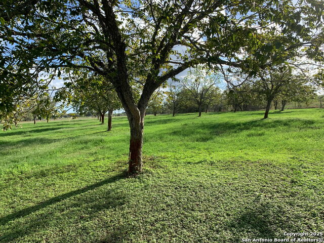 Image 10 of 21 For 263 Krams Creek