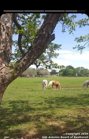 Image 13 of 21 For 263 Krams Creek