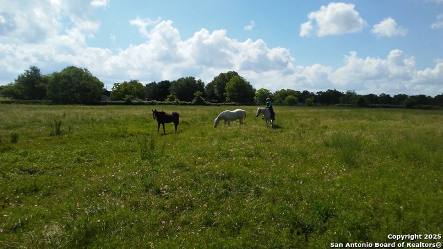 Image 16 of 21 For 263 Krams Creek