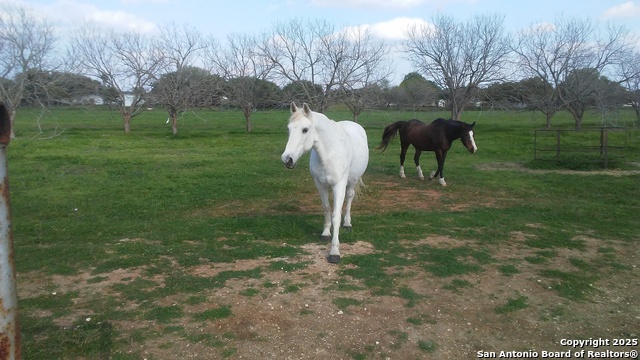 Image 17 of 21 For 263 Krams Creek