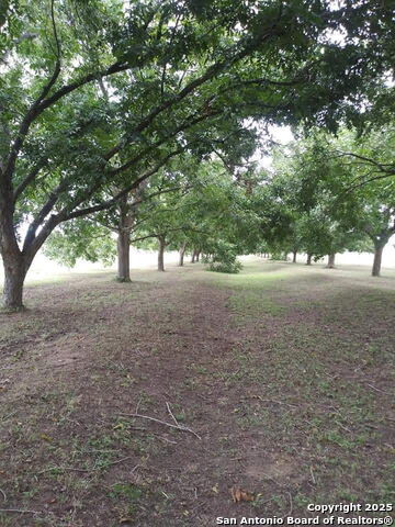 Image 9 of 21 For 263 Krams Creek