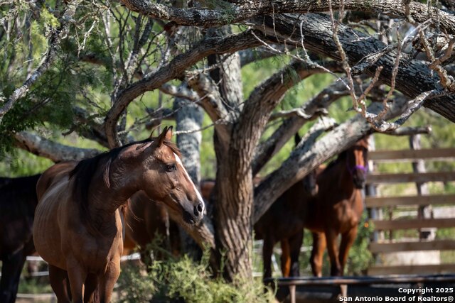 Image 12 of 16 For 3285 Pittman Rd
