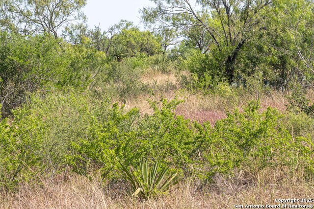 Image 16 of 16 For 3285 Pittman Rd