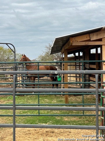 Image 6 of 16 For 3285 Pittman Rd