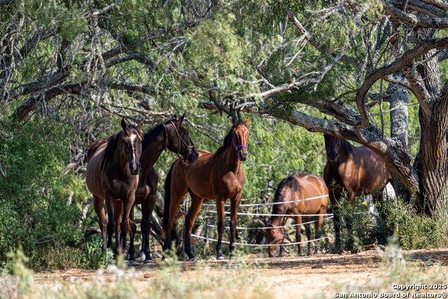 Image 9 of 16 For 3285 Pittman Rd