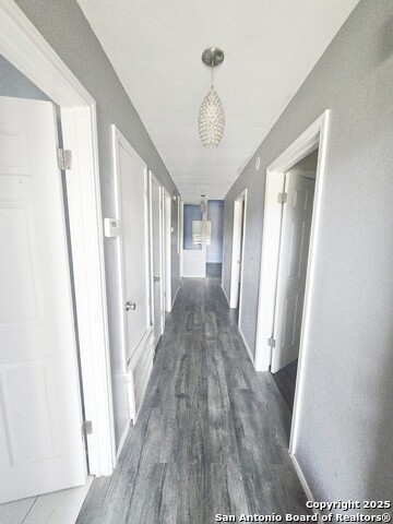 Image 12 of 19 For 4319 Golden Spice