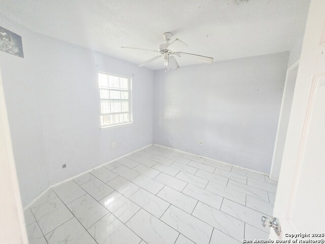 Image 13 of 19 For 4319 Golden Spice