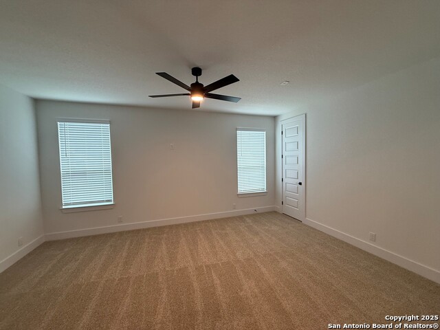 Image 10 of 25 For 539 Caliban  