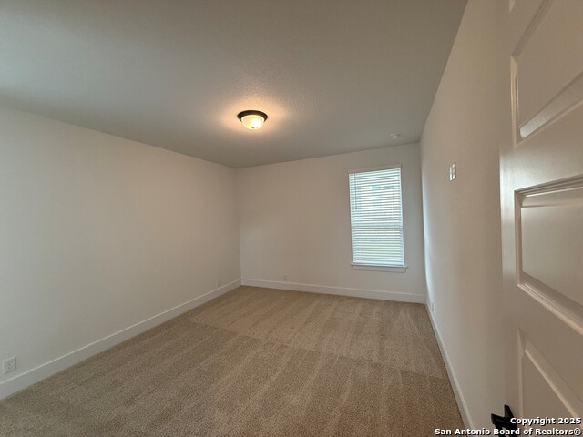 Image 19 of 25 For 539 Caliban  