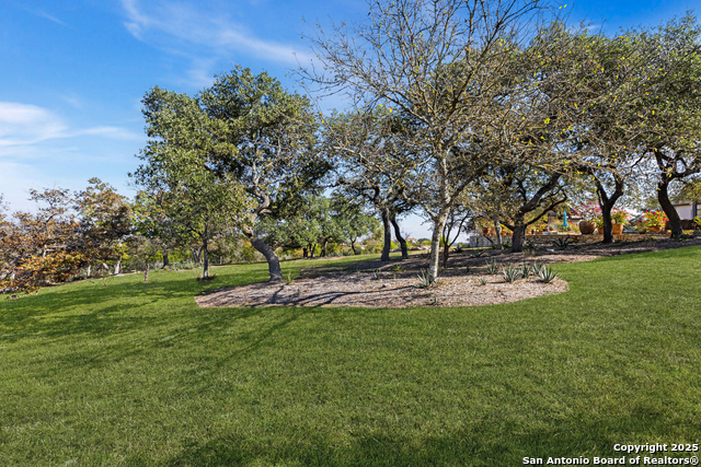 Image 15 of 49 For 165 Painted Sky