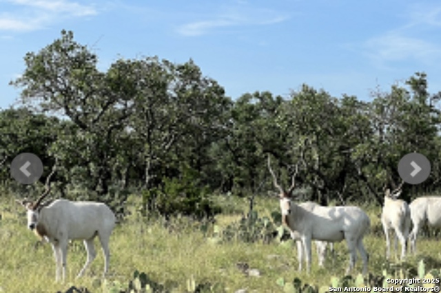 Details for 14410 Us Highway 190, Fort McKavett, TX 76841