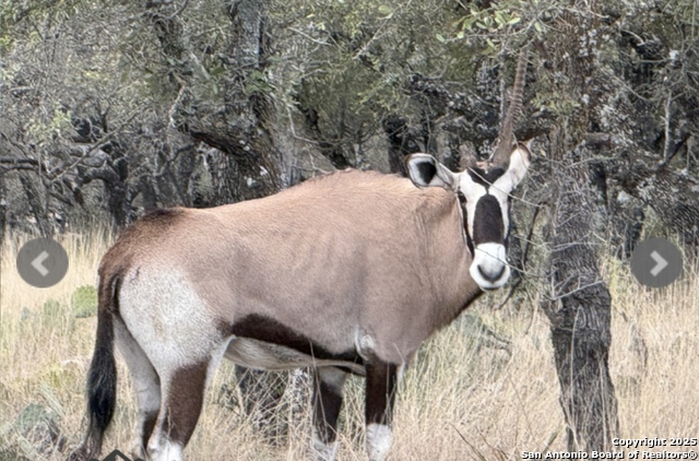 Image 2 of 22 For 14410 Us Highway 190