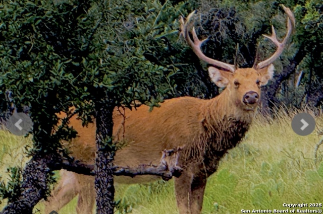 Image 3 of 22 For 14410 Us Highway 190