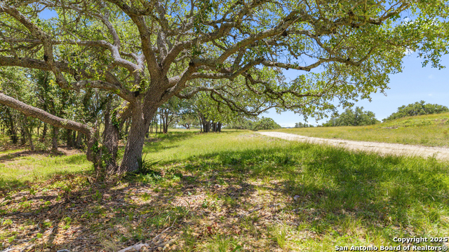 Image 11 of 15 For Tbd Lindeman Lane