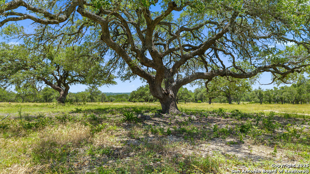 Image 3 of 15 For Tbd Lindeman Lane