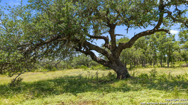 Image 7 of 15 For Tbd Lindeman Lane