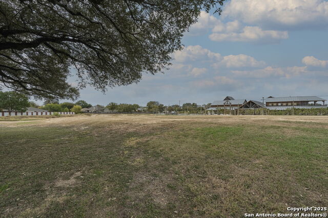 Image 3 of 15 For 1614 Gruene Vineyard