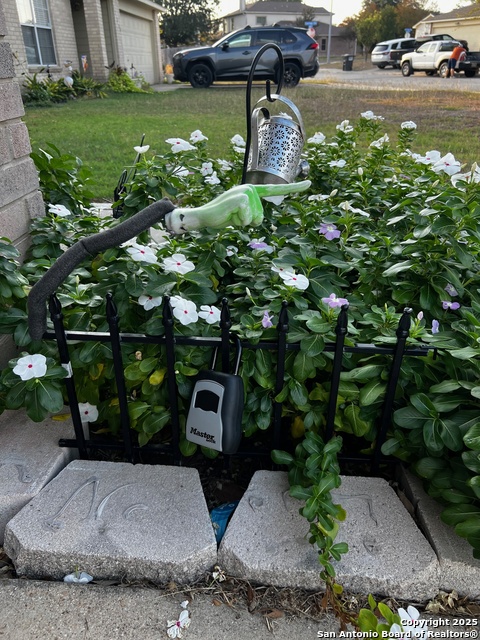 Image 2 of 4 For 7230 Carriage Fern