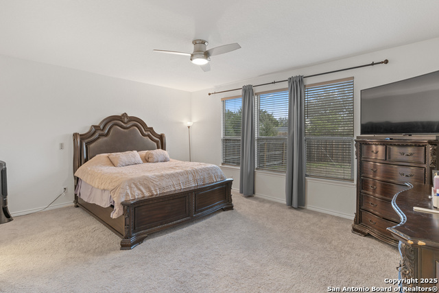 Image 12 of 22 For 5714 Agave Spine